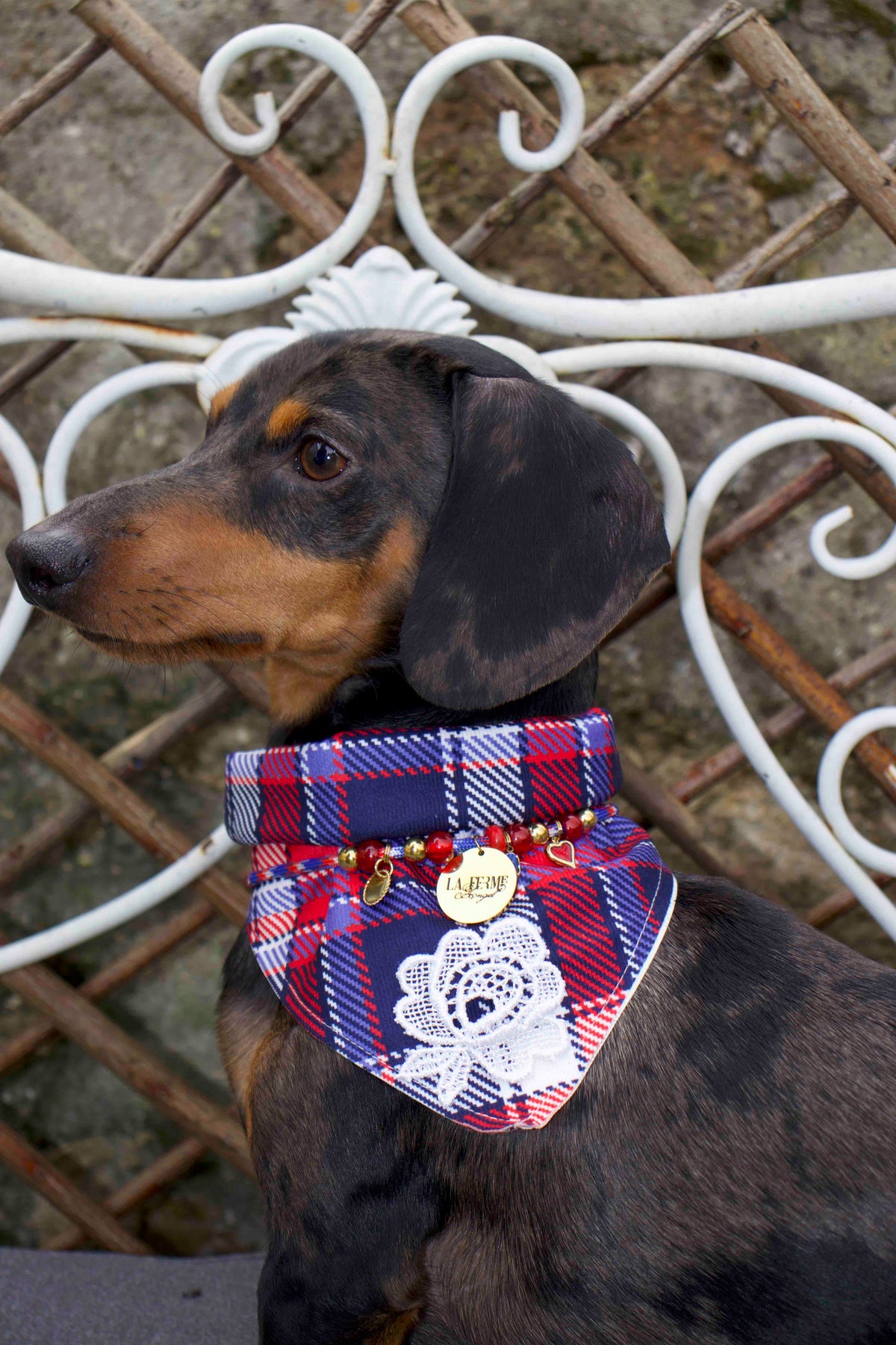 LES BANDANNA VINTAGE™