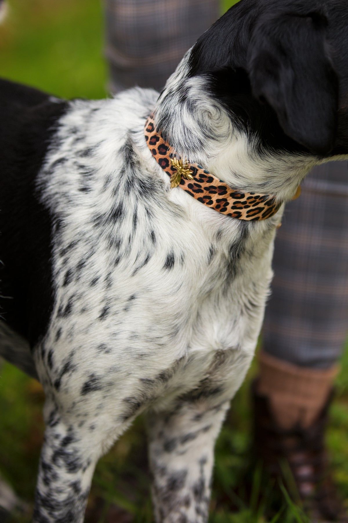 LE COLLIER BIJOUX™ | BIOTHANE®