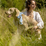 image00010