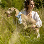 image00010