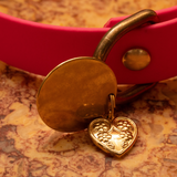 Le Collier Bijou Biothane® - Rose Fluo 25mm