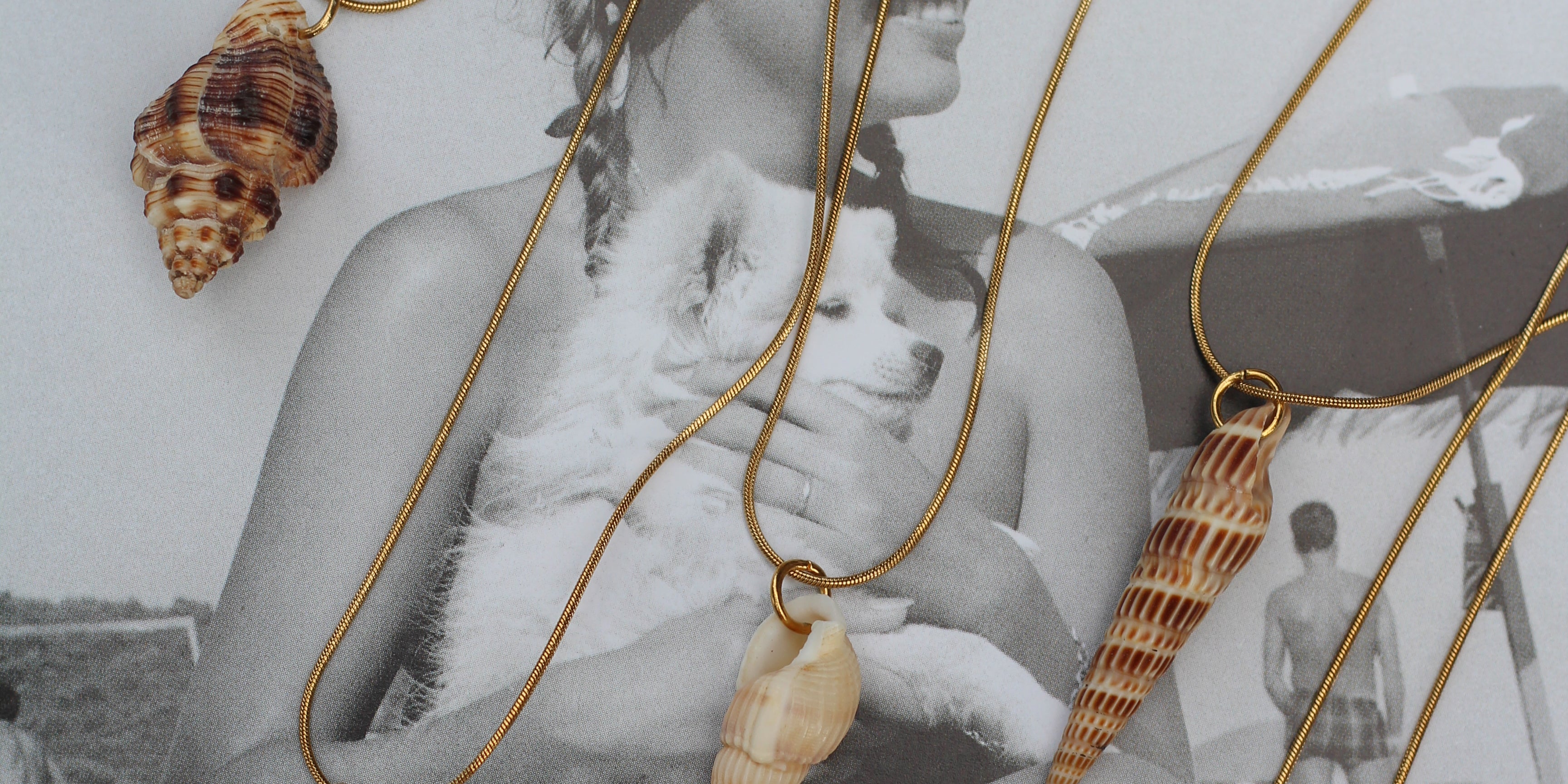 Le Grigri de Charlotte | My Shell ✶