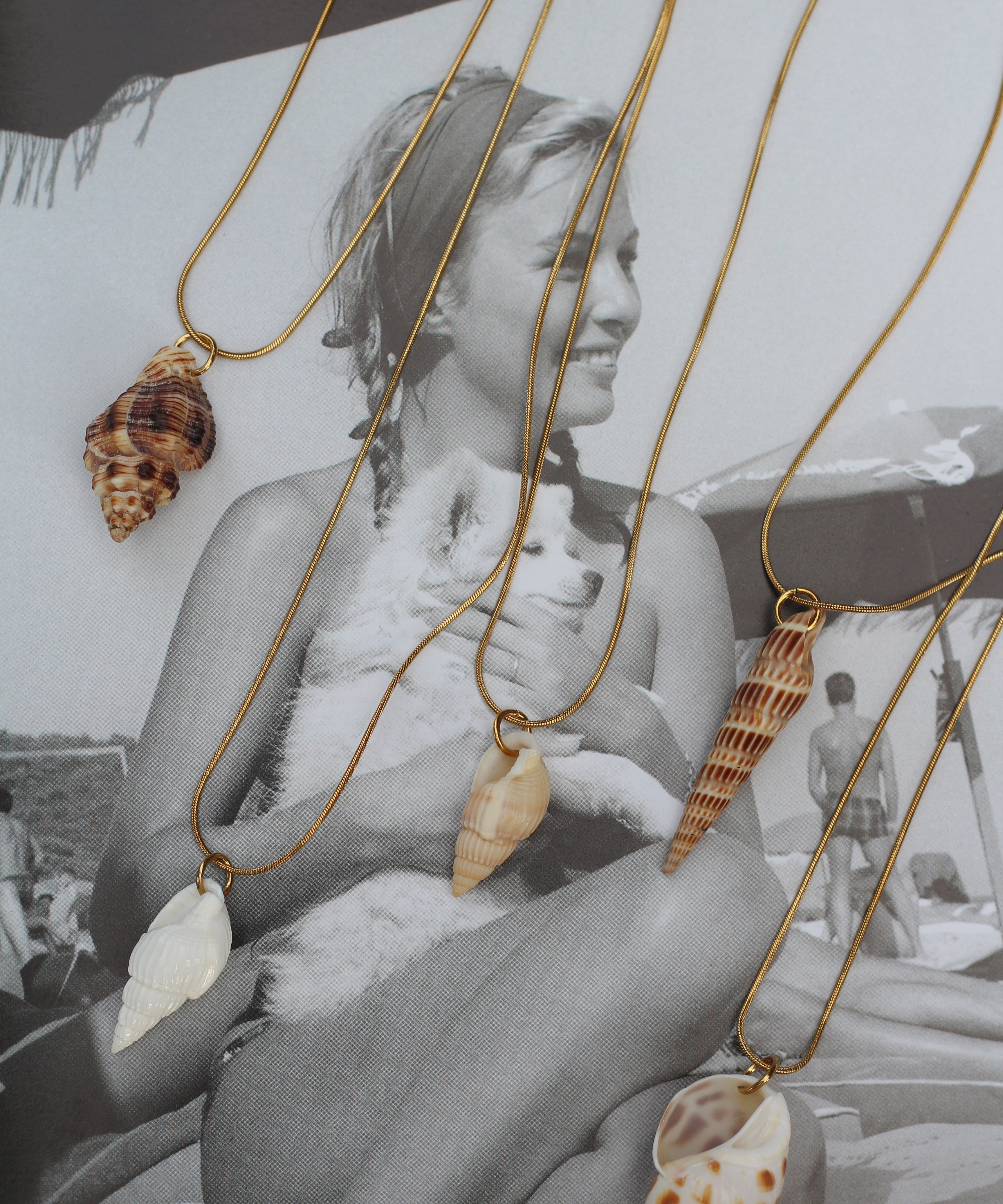 Le Grigri de Charlotte | My Shell ✶