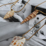 Le Grigri de Charlotte | My Shell ✶