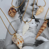 Le Grigri de Charlotte | My Shell ✶