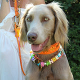 Bubble Name's - Doggy