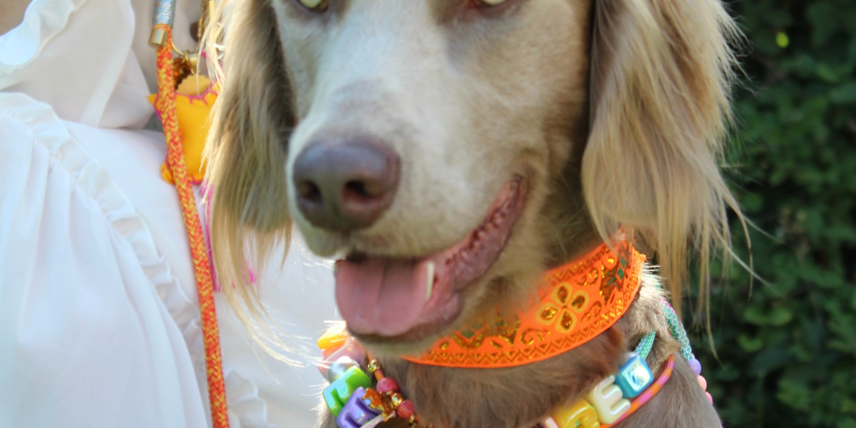 Bubble Name's - Doggy