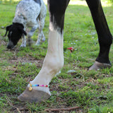 Bubble Name's - Horse