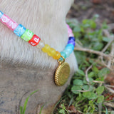 Bubble Name's - Horse