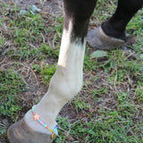 Bubble Name's - Horse