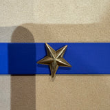 Le Collier Bijou Biothane® - Bleu Électrique 25mm
