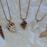 Le Grigri de Charlotte | My Shell ✶