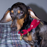 Les Colliers Bijoux | Bandanna - Bordeaux