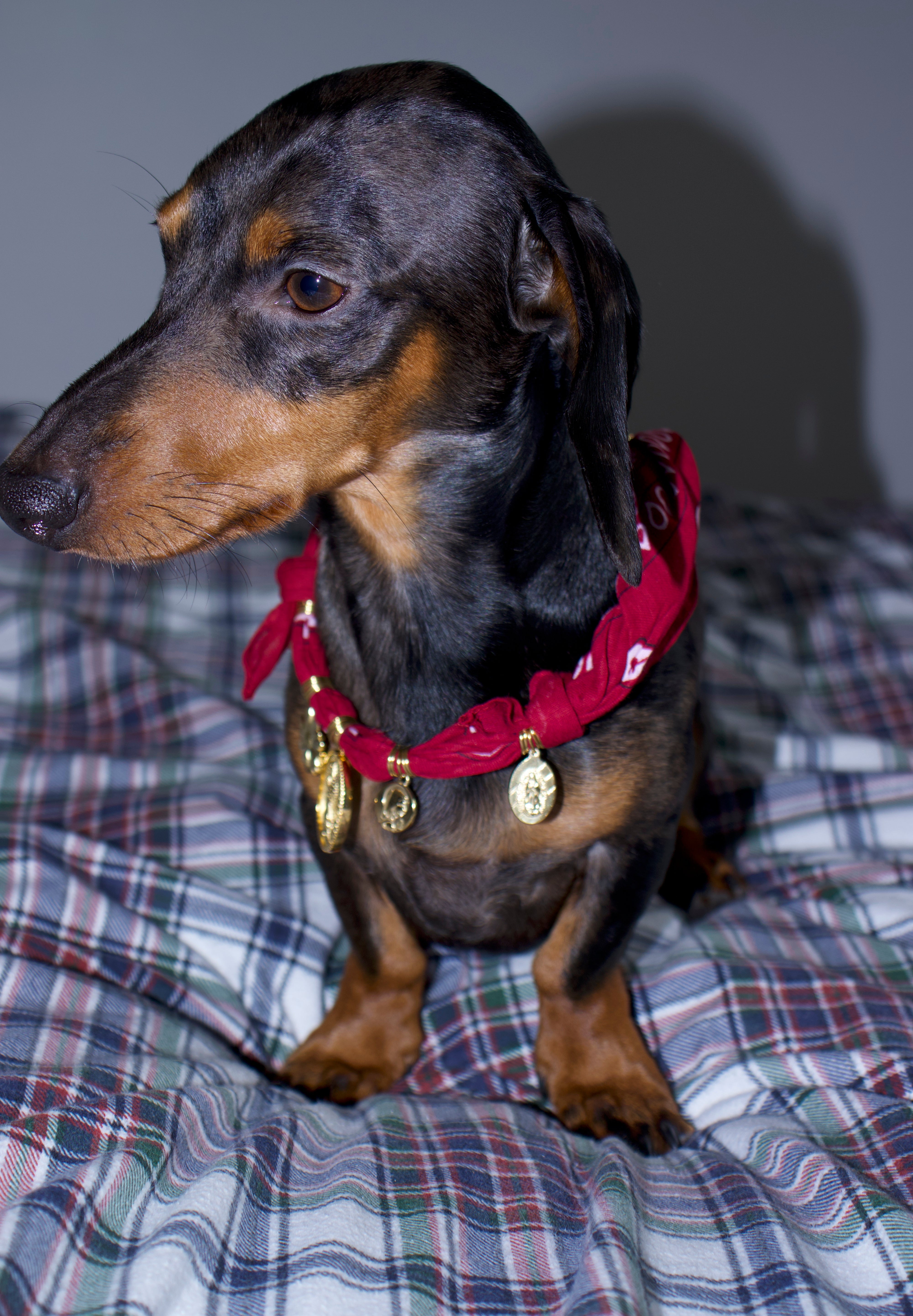 Image de diapositive
