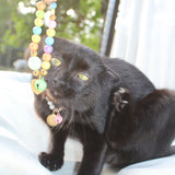 Bubble Name's - Kitty