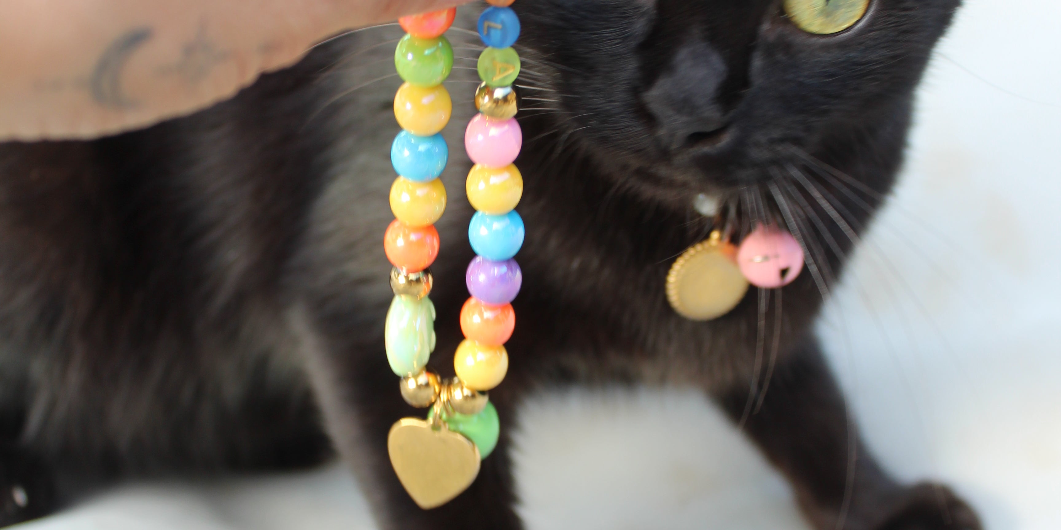 Bubble Name's - Kitty