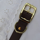 COLLIER BIOTHANE® - MARRON 25mm