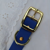 COLLIER BIOTHANE® - BLEU ELECTRIQUE 25mm