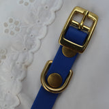 COLLIER BIOTHANE® - BLEU ÉLÉCTRIQUE 15mm