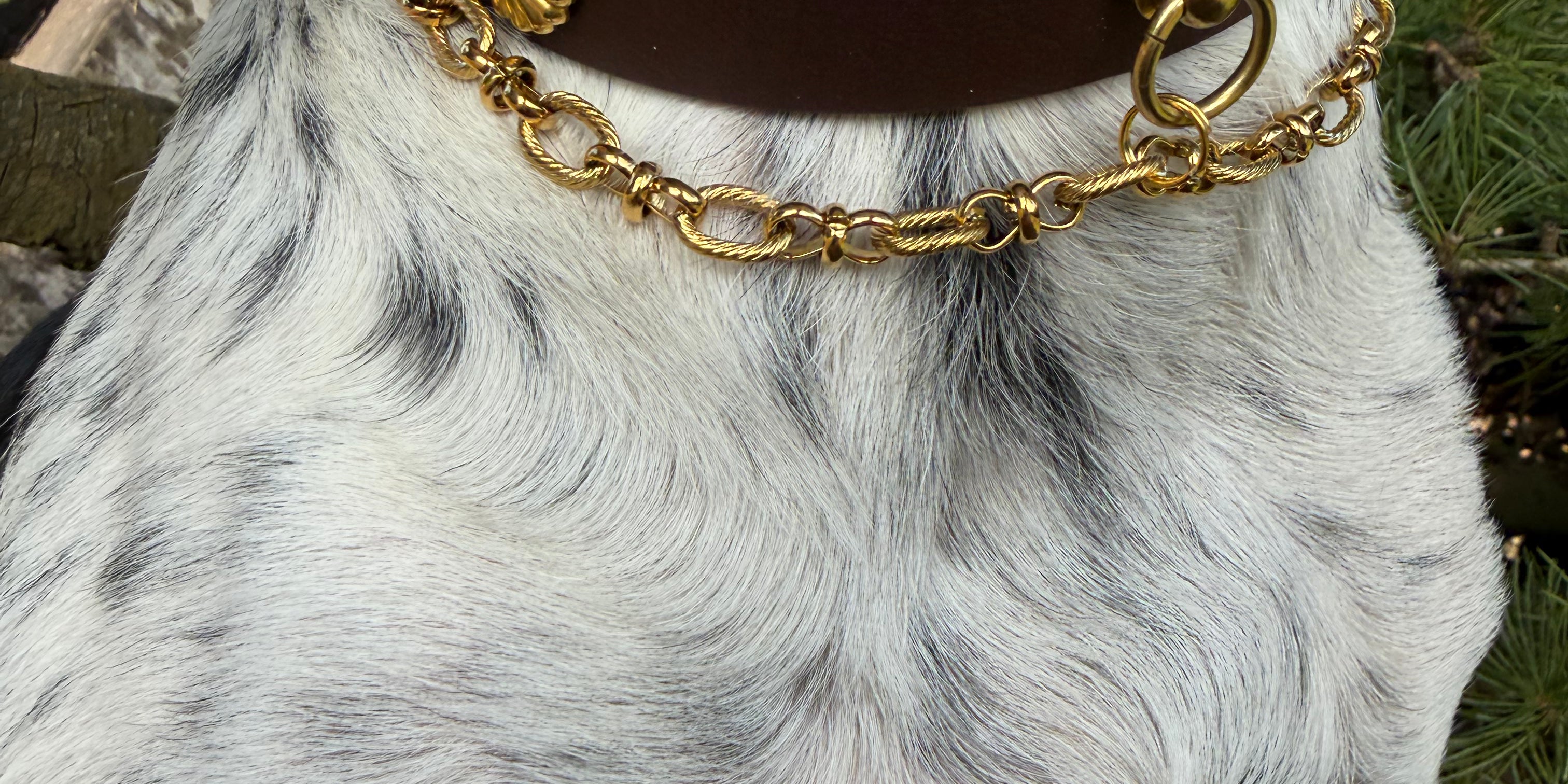Le Collier Bijou Biothane® - Chaîne Couture