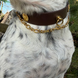 Le Collier Bijou Biothane® - Chaîne Couture
