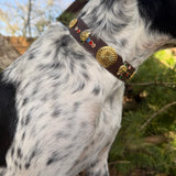 Le Collier Bijou Biothane® - West Coast