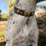 Le Collier Bijou Biothane® - West Coast