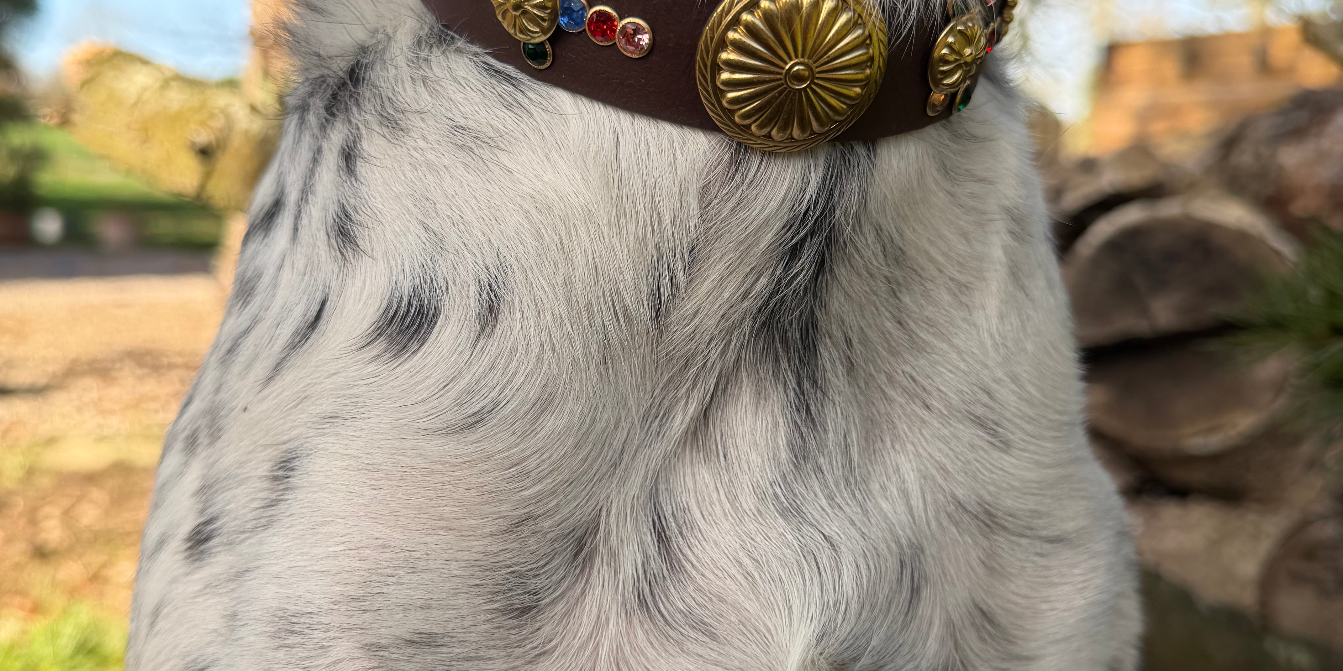 Le Collier Bijou Biothane® - West Coast