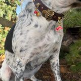 Le Collier Bijou Biothane® - Grigri Angel