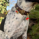 Le Collier Bijou Biothane® - Grigri Angel