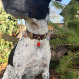 Le Collier Bijou Biothane® - Grigri Angel