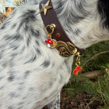 Le Collier Bijou Biothane® - Grigri Angel