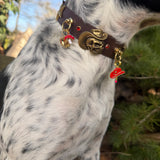 Le Collier Bijou Biothane® - Grigri Angel