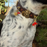 Le Collier Bijou Biothane® - Grigri Angel