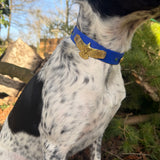 Le Collier Bijou Biothane® - Aigle sacré
