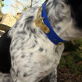Le Collier Bijou Biothane® - Aigle sacré