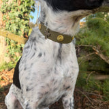 Le Collier Bijou Biothane® - Angel Cross
