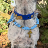 Le Collier Bijou Biothane® - Aigle sacré