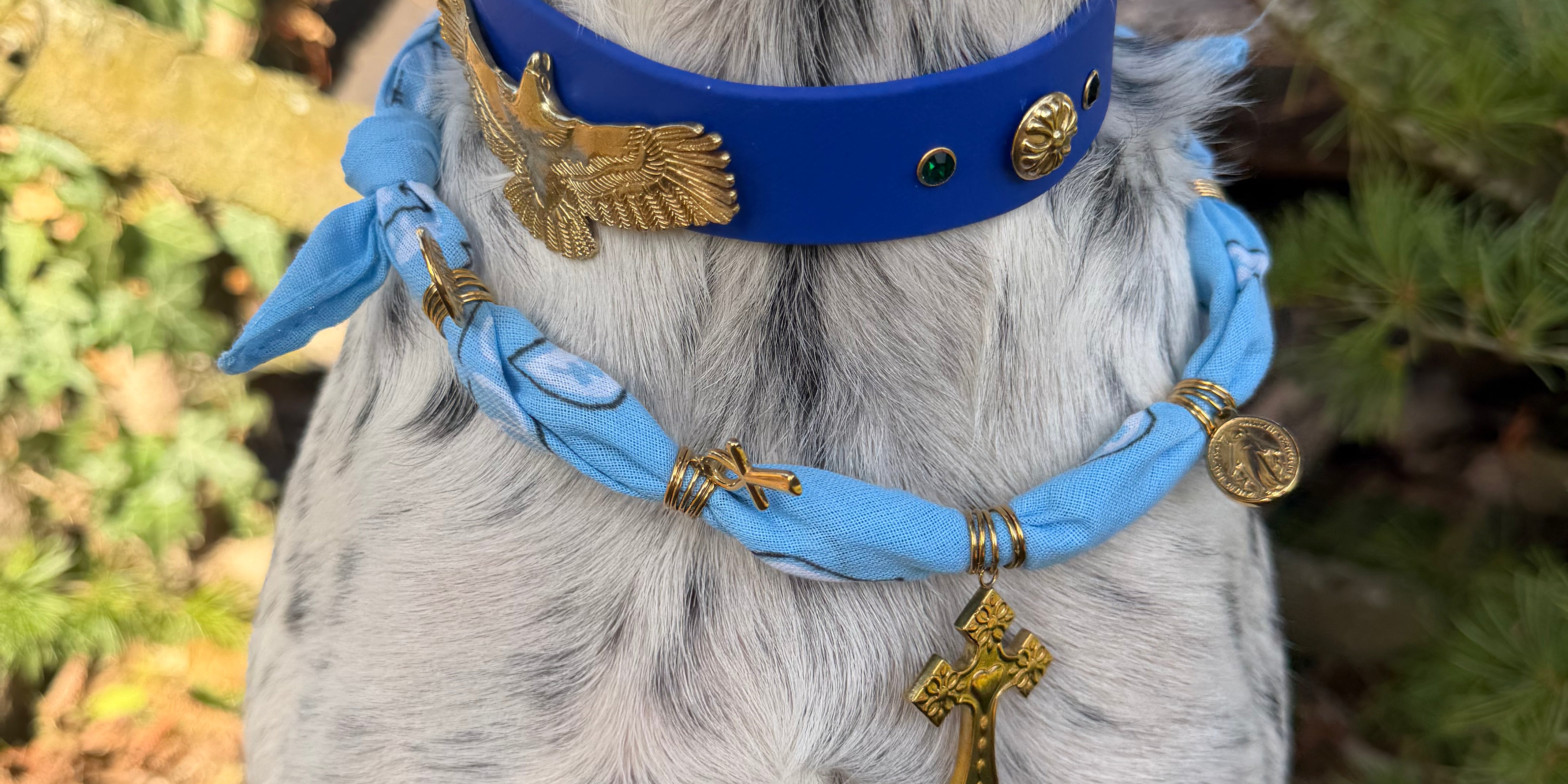 Le Collier Bijou Biothane® - Aigle sacré