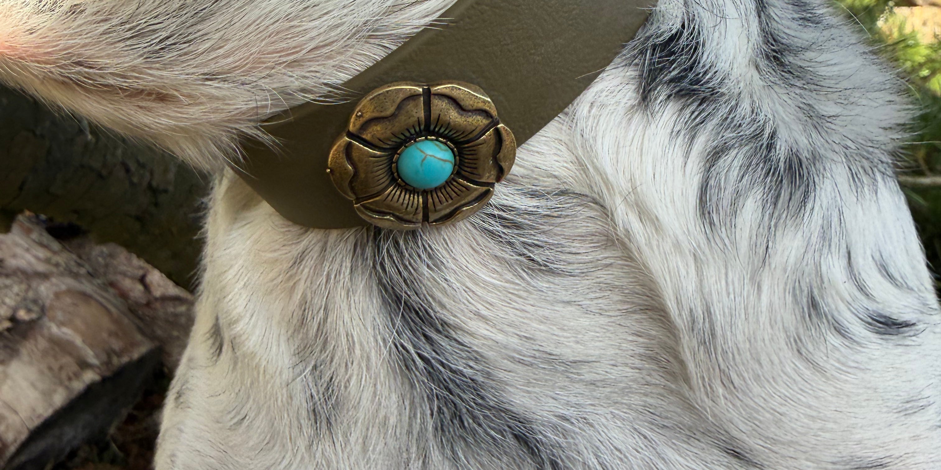 Le Collier Bijou Biothane® - Blue Amérindien
