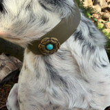 Le Collier Bijou Biothane® - Blue Amérindien