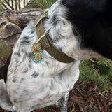 Le Collier Bijou Biothane® - Blue Amérindien