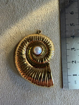 Médaille 10 - Coquillage XXL perle