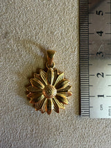 Médaille 40 - Pâquerette