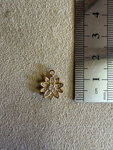 Médaille 47 - Fleur Zirconium