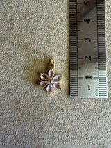 Médaille 49 - Fleurs Rose poudré