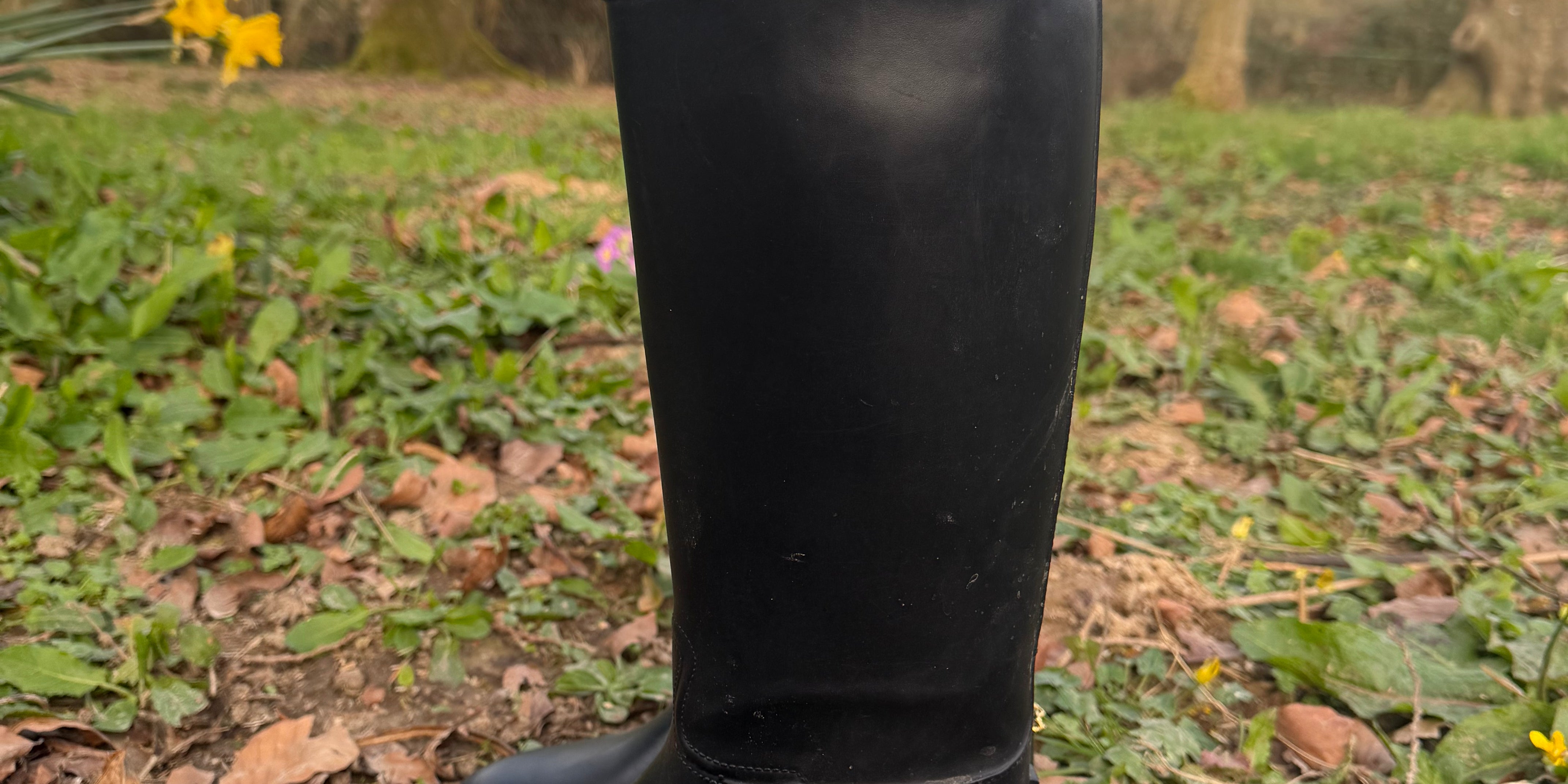 Concho à visser - Aigle Royal