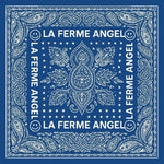 FOULARD OPTION | source:gid://shopify/Product/14795130470731 | Foulard N°24 - Paisley Blue Jean