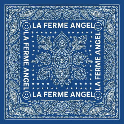 Foulard N°24 - Paisley Blue Jean