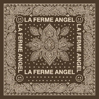 Foulard N°25 - Paisley Chocolat et Beige